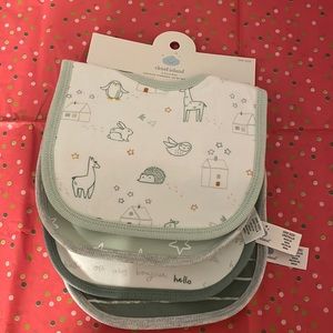 Cloud Island Baby Bibs Set